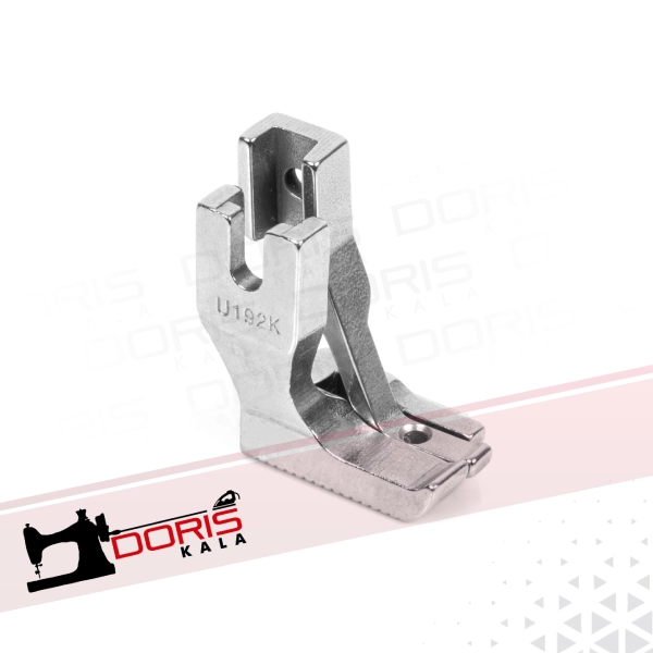 پایه مغزی دوپایه